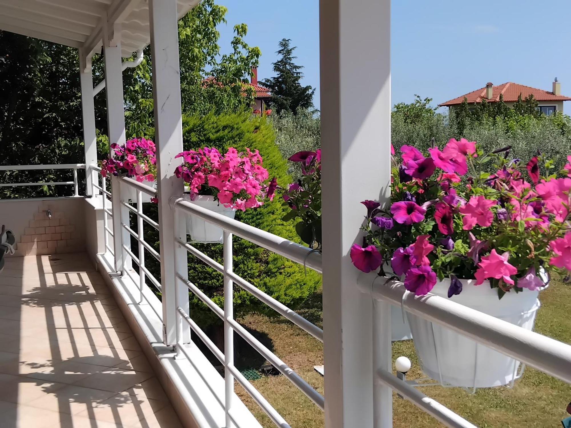 Tammy'S Garden House Villa Leptokarya  Exterior foto