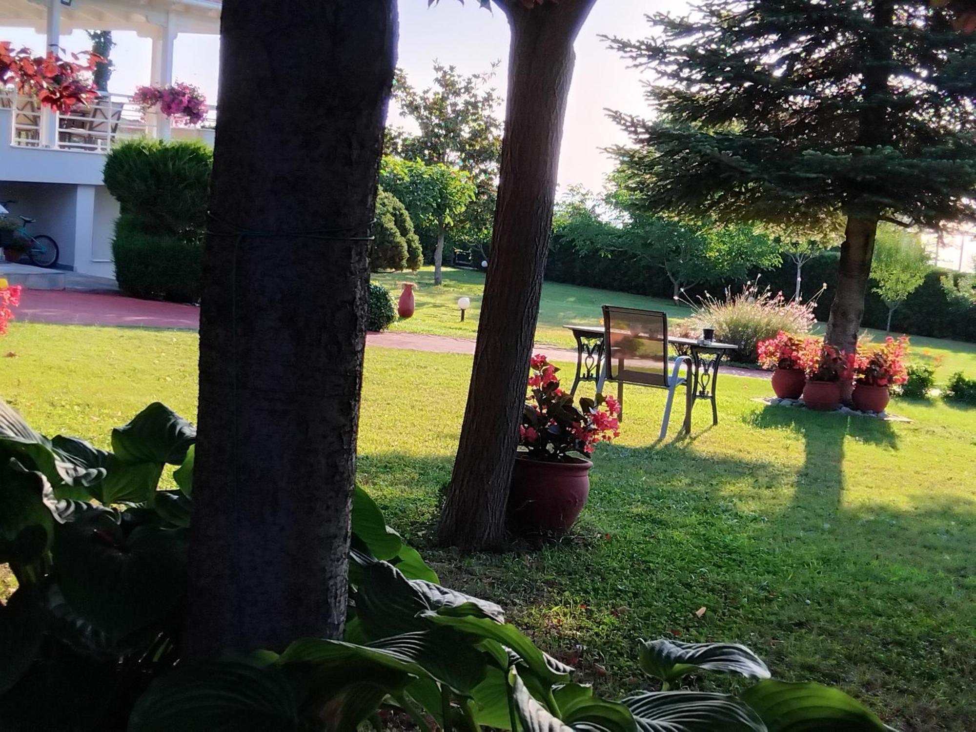 Tammy'S Garden House Villa Leptokarya  Exterior foto